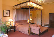 pic2.jpg